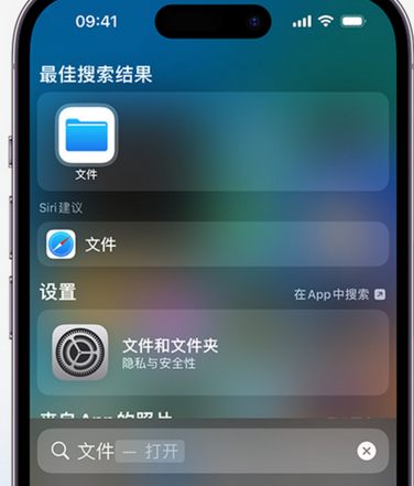 海南apple维修中心分享iPhone文件应用中存储和找到下载文件 