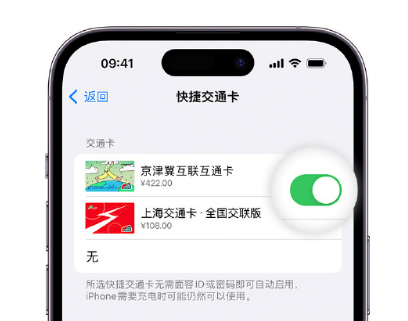 海南apple维修点分享iPhone上更换Apple Pay快捷交通卡手绘卡面 