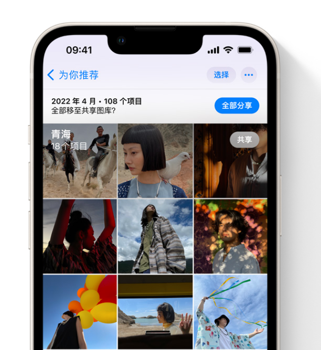 海南苹果维修网点分享在 iPhone 上使用共享图库 