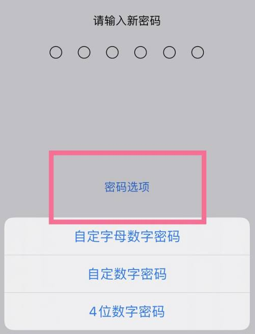 海南苹果14维修分享iPhone 14plus设置密码的方法 