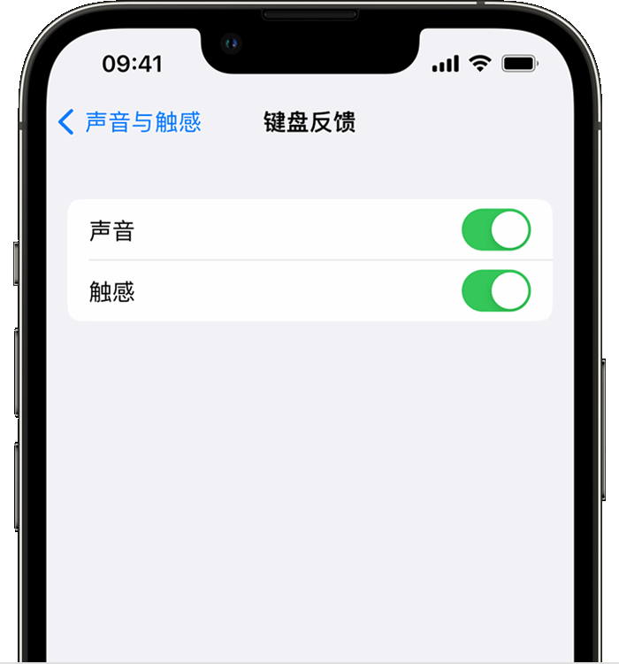 海南苹果14维修分享iPhone 14 系列机型如何开启键盘声音或触感反馈 