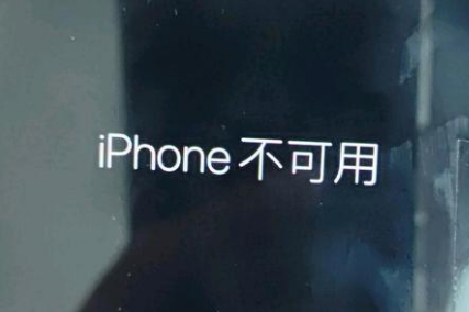 海南苹果服务网点分享锁屏界面显示“iPhone 不可用”如何解决 