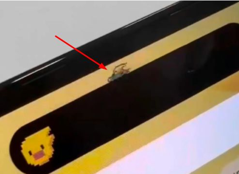 海南苹果14维修分享iPhone 14 Pro Max灵动岛怎么养宠物 