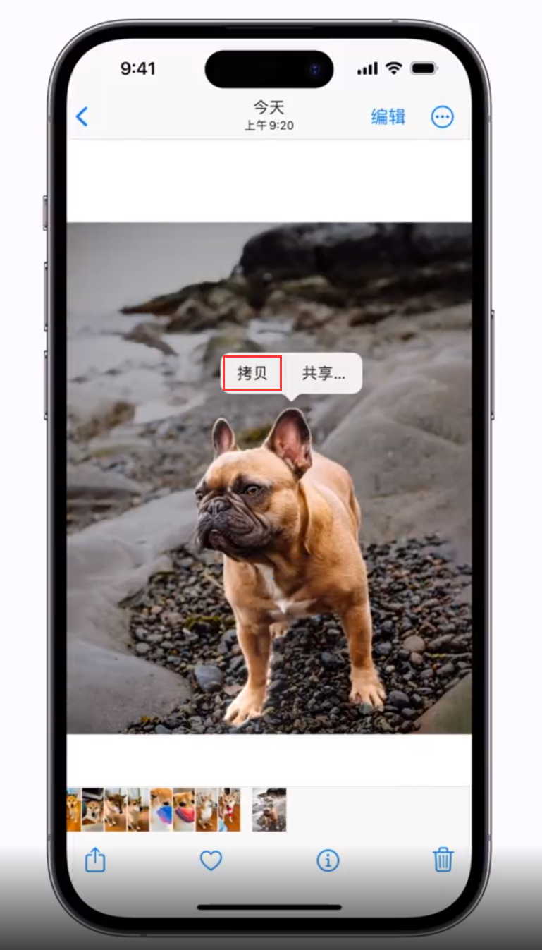 海南 苹果手机维修分享iOS 16 “照片”应用更新内容与改进汇总 