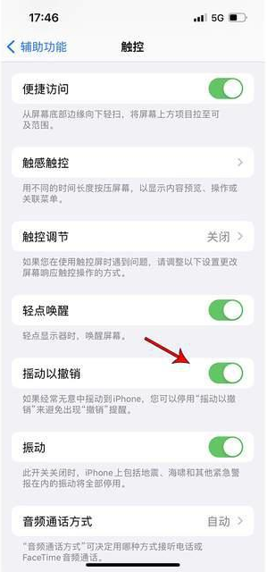 海南苹果手机维修分享iPhone手机如何设置摇一摇删除文字 