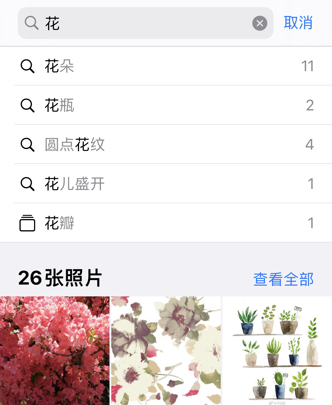 海南苹果手机维修分享iPhone 小技巧 
