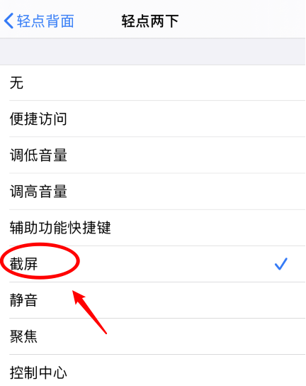 海南苹果手机维修分享iPhone12如何启用双击截屏 