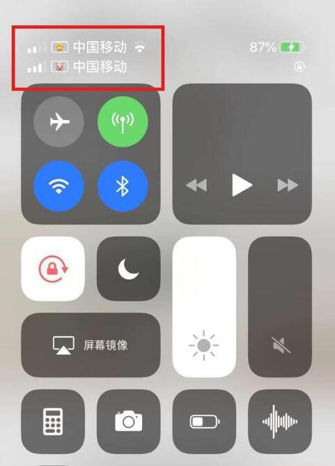海南苹果手机维修分享为 iPhone 12 双卡设置标签 